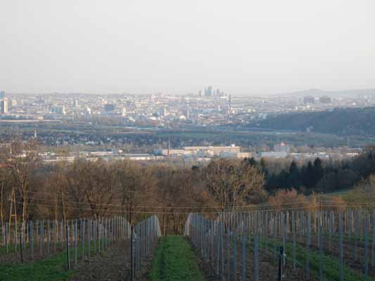 Foto vom 14.April 2015 - Blick vom Bisamberg