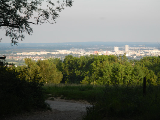 Foto vom 1.Juni 2015 - Bisamberg