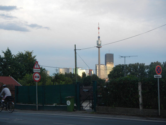 Foto vom 23.Juni 2015 - An der oberen alten Donau