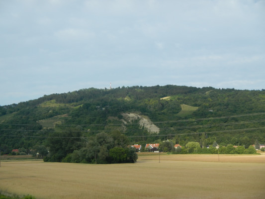 Foto vom 25.Juni 2015 - Bisamberg