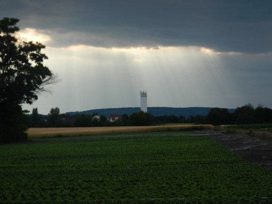 Foto vom 26.Juni 2015 - Gerasdorf