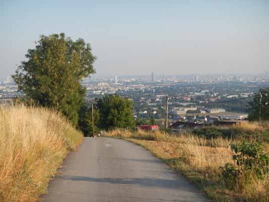 Foto vom 3.August 2015 - Blick vom Bisamberg