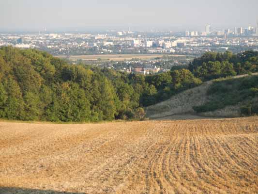 Foto vom 6.August 2015 - Blick vom Bisamberg