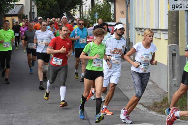 Foto vom 6.September 2015 - Stammersdorfer Winzerlauf