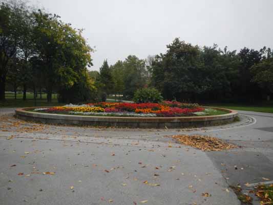 Foto vom 11.Oktober 2015 - Donaupark