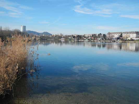 Foto vom 07.Februar 2016 - Alte Donau