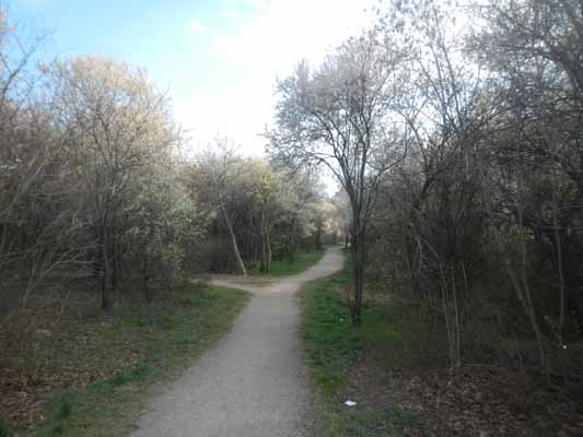 Foto vom 24.Mrz 2016 - Wolfgang-Riese-Gasse