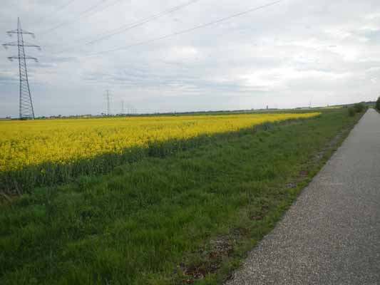 Foto vom 15.April 2016 - Am Dampfrossradweg