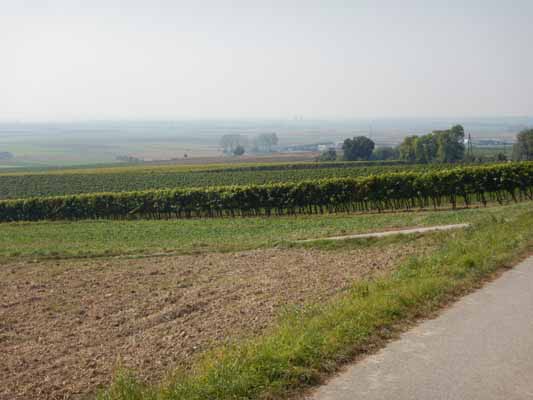 Foto vom 27. September 2016 - Weinviertel