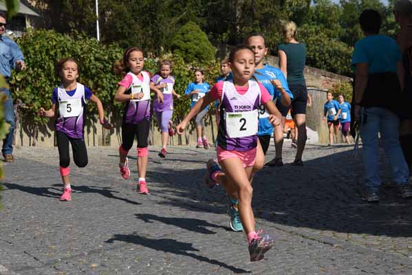 Foto vom 1. Oktober 2016 - Poysdorfer Winzerlauf