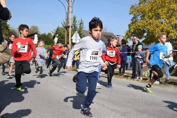 Foto vom 15. Oktober 2016 - Strasshofer Herbstlauf