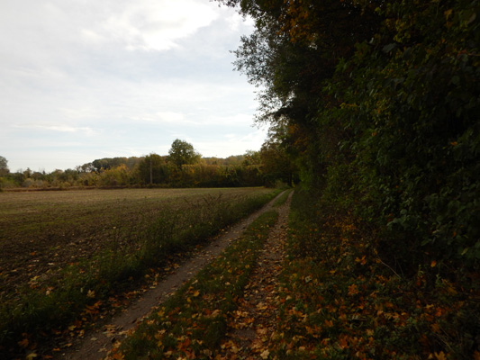 Foto vom 25. Oktober 2016 - Lobau