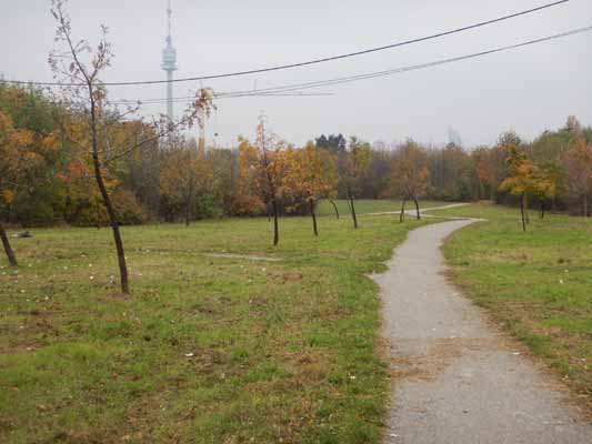 Foto vom 5. November 2016 - Park bei der Alten Donau