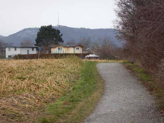 Foto vom 25. Dezember 2016 - Am Marchfeldkanal