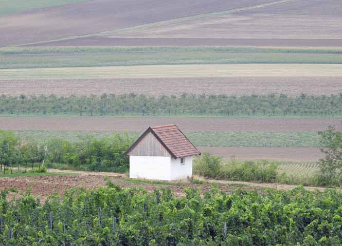 Weinviertel