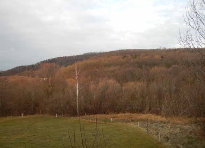 Wolfsgraben