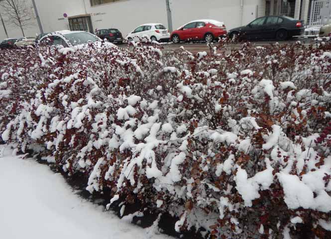 Schnee in der Donaufelder Straße