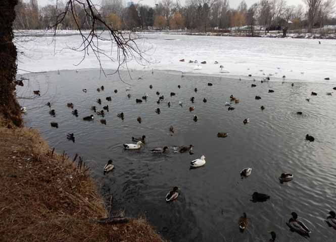 Wasserpark