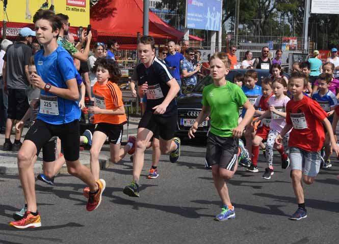 Brigittenauer Bezirkslauf