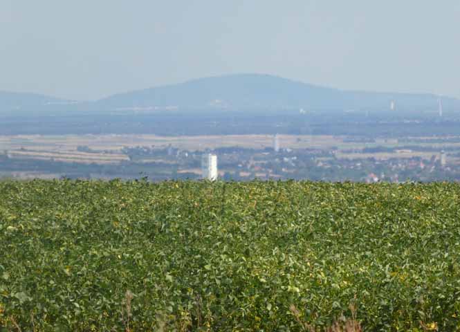 Blick ins Marchfeld