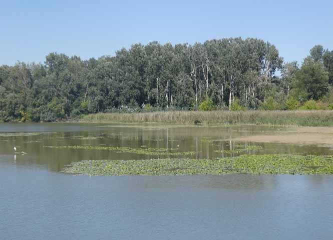 Donau-Oder-Kanal