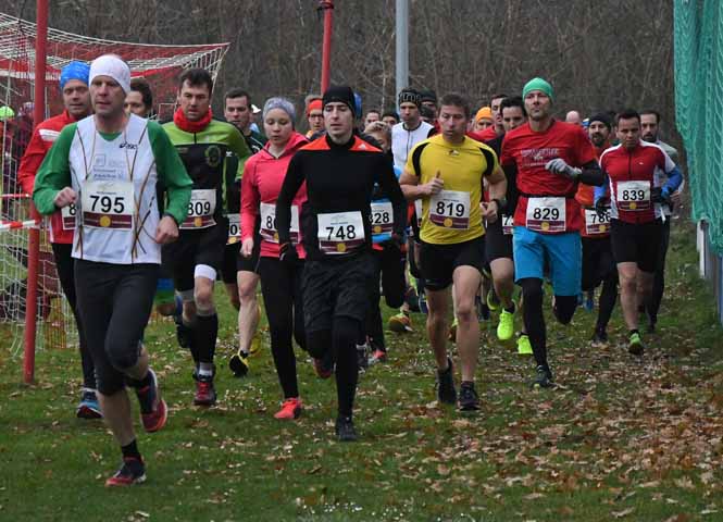 Crosslauf