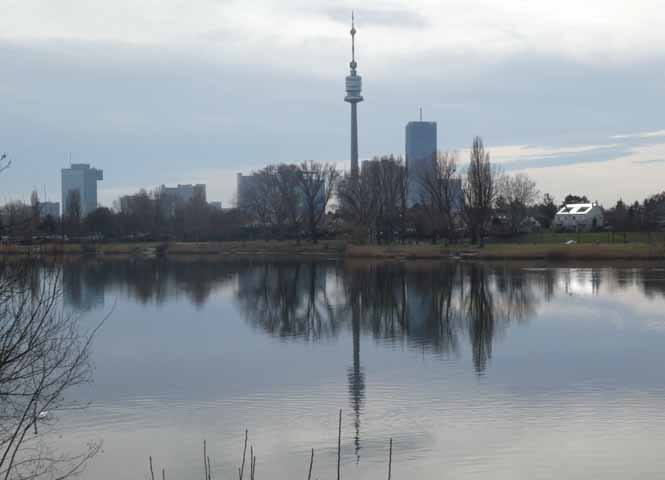 Alte Donau