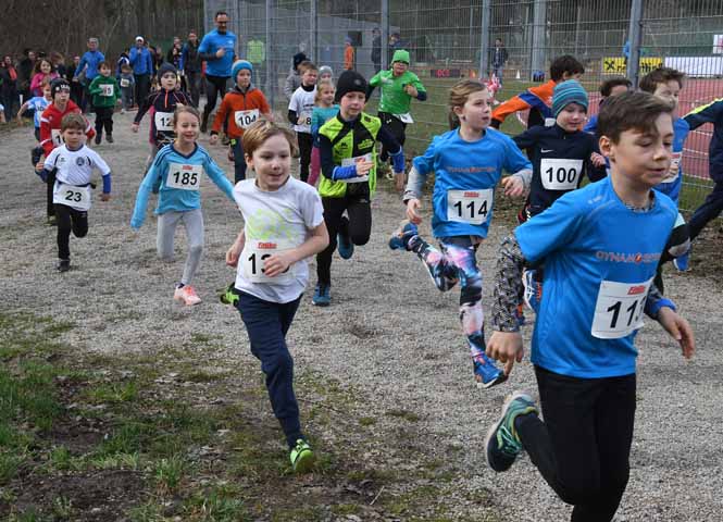 Aupark Crosslauf