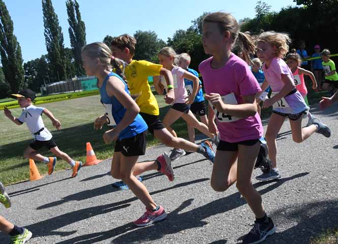 Hohenauer Sommerlauf