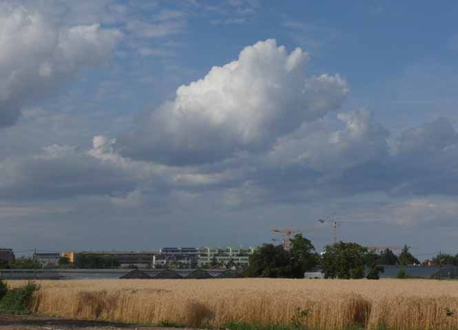 Donaufelder Straße