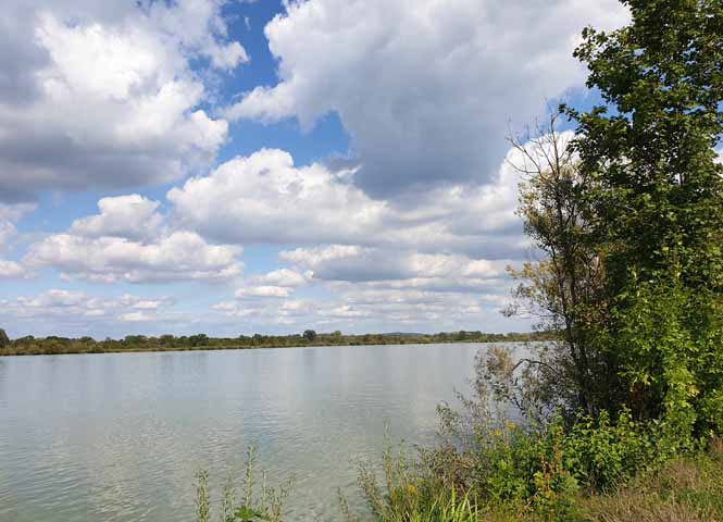 Donau bei Tulln