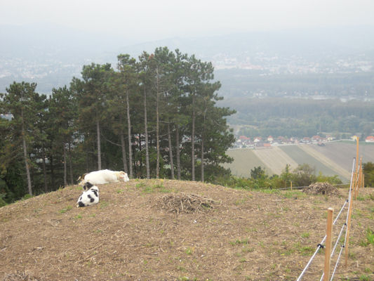 Foto vom 2. Oktober 2010 - Elisabethhhe