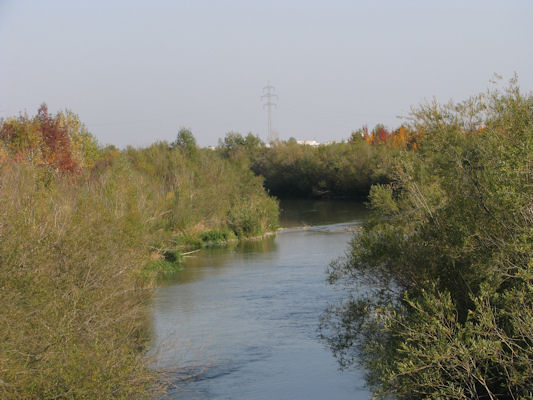 Foto vom 10. Oktober 2010 - Marchfeldkanal