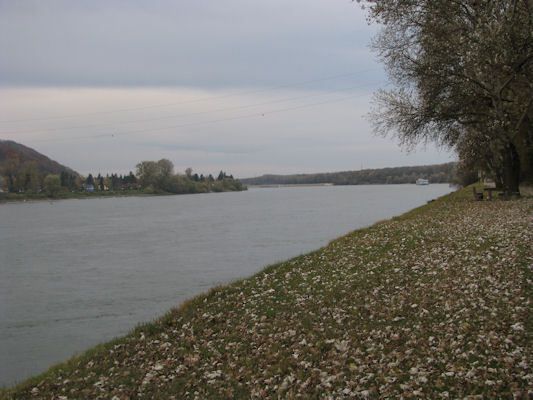 Foto vom 31. Oktober 2010 - Donau