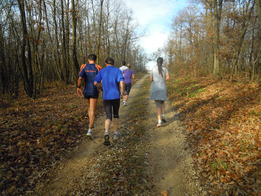 Foto vom 13. November 2010 - Laufen im Hochleithenwald