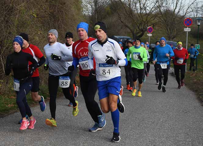 Crosslauf Hohenau