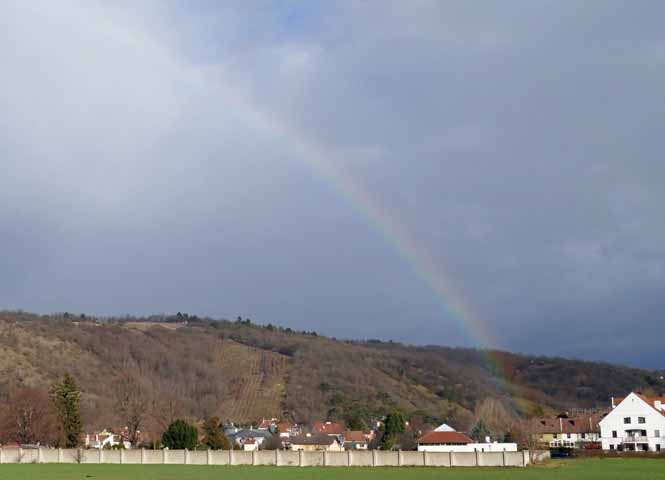 Regenbogen beim Bisamberg