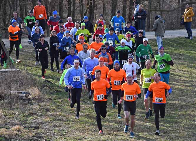 Crosslauf Spannberg