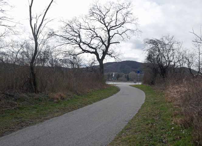 Donauradweg bei Korneuburg