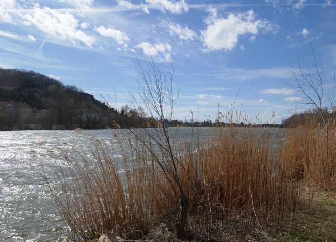 Altarm bei Greifenstein