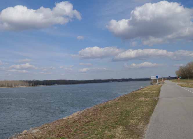 Donauradweg bei Greifenstein