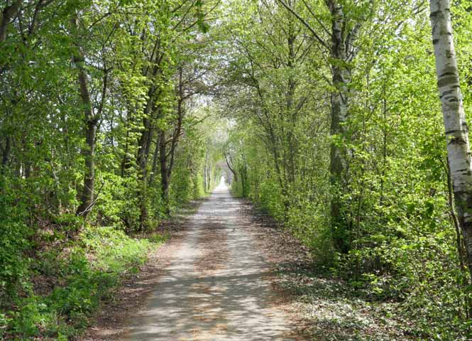 Dampfross Radweg
