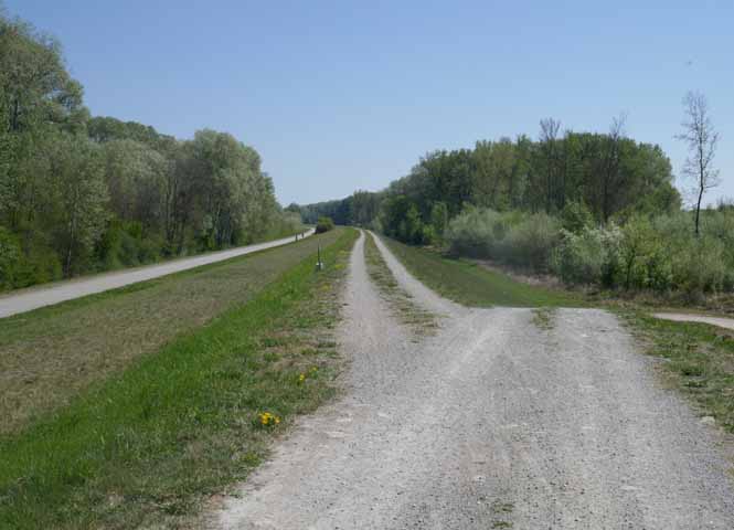 Lobau