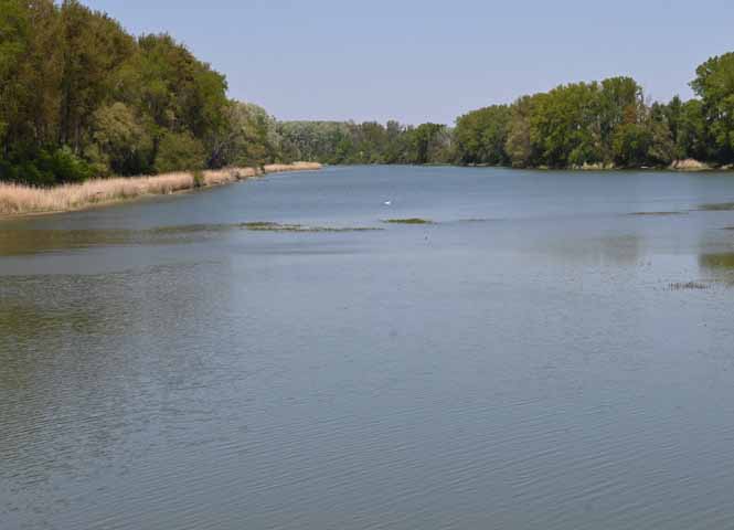 Kühwörther Wasser