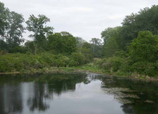 Lobau