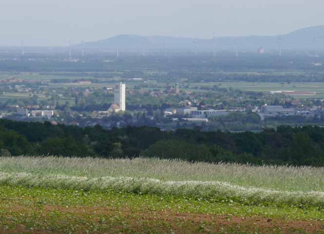 Wolkersdorf