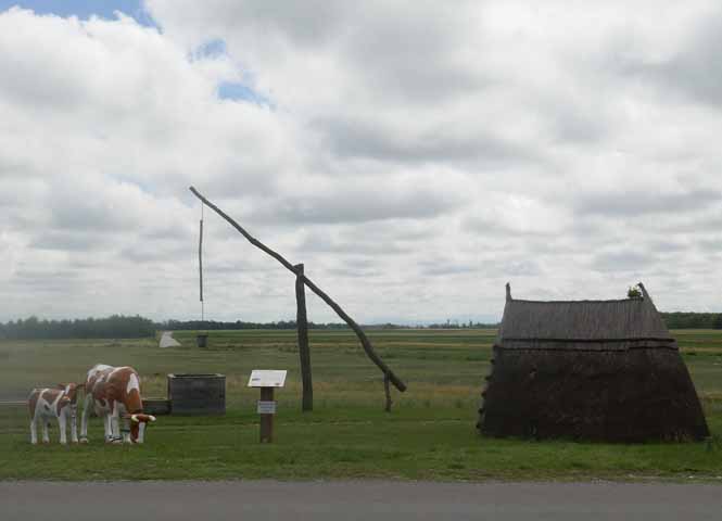 Seewinkel