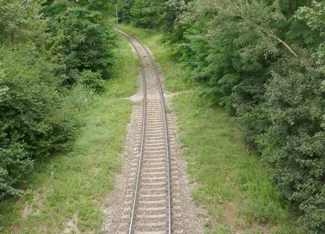 Bahngleise in der Lobau