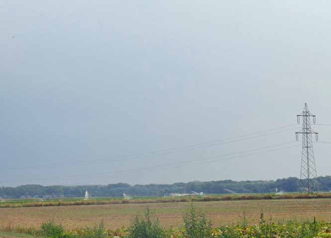 Marchfeld