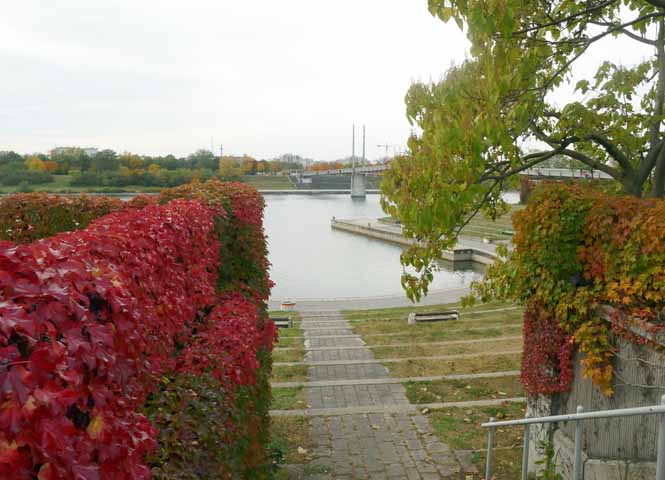Neue Donau